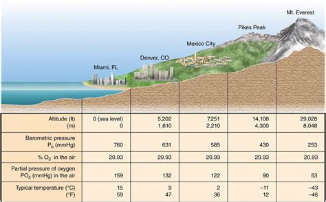 劍川海拔多少米與劍川的地理環境如何影響其生態平衡