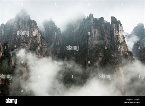 金絲大峽谷在哪裏，它是否真的藏匿於雲山霧海之間？